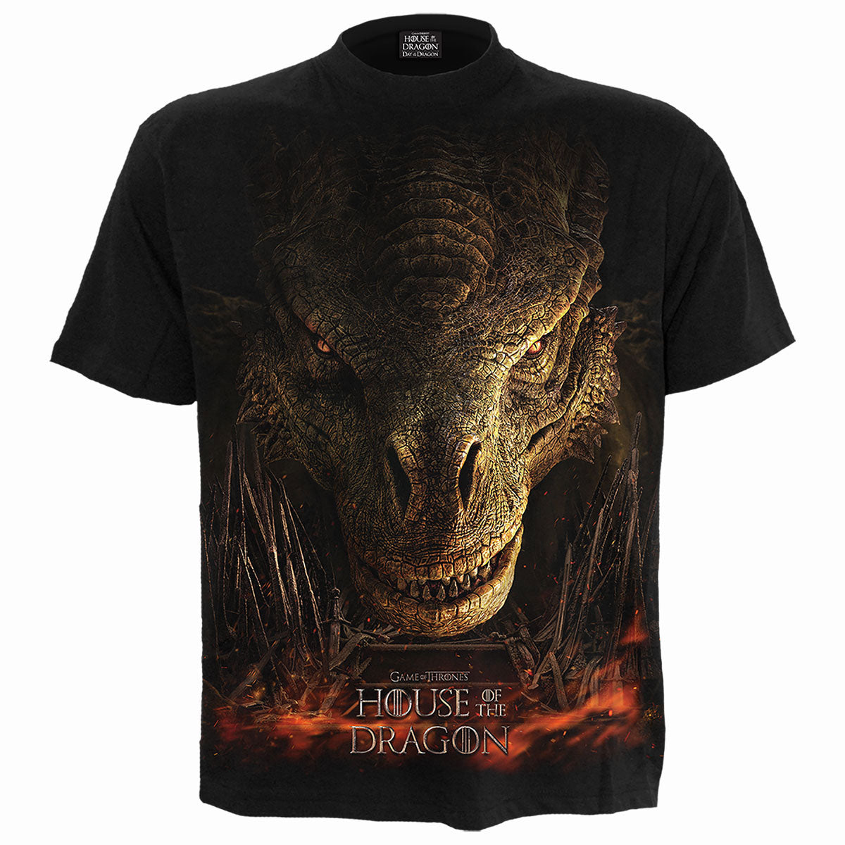 House of the Dragon T-Shirt: Dragon Throne