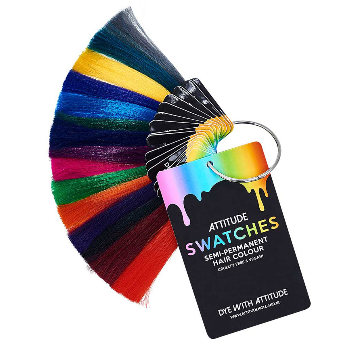 Spiral Hair Dye Colour Swatch: Accessories