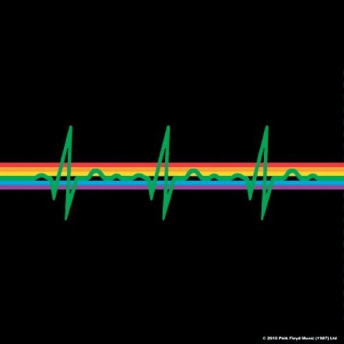 Pink Floyd Coaster: Dark Side of the Moon